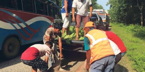 अकालमा मृत्युवरण गर्दै निकुञ्जका वन्यजन्तु