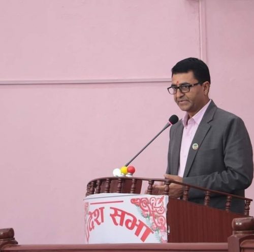 कांग्रेस नवलपुरका सभापति लामिछाने प्रदेश महामन्त्रीमा निर्वाचित