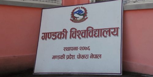 कोदोको रक्सी ‘ब्रान्डिङ’ खोजी गर्दै गण्डकी विश्वविद्यालय