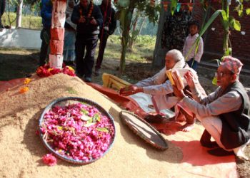 आज धान्य पूर्णिमा धानको पूजा गरी मनाइँदै