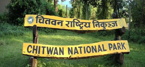 चितवन निकुञ्जले चेपाङका घरटहरामा फेरि लगायो आगो