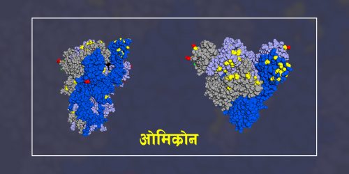 भारतमा ओमिक्रोन बढ्दो, नयाँ दिल्लीमा फेरि कर्फ्यू