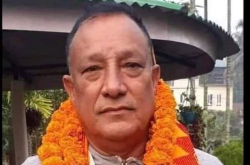 कांग्रेस प्रदेश १ सभापतिमा सिटौला समूहका थापा विजयी, घिमिरे दुई मतले पराजित