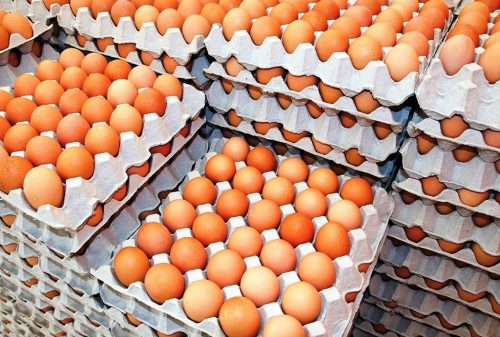 अण्डाको  भाउ बढ्यो