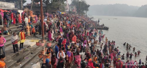 माघे औशीमा त्रिवेणी धाममा घुईचो