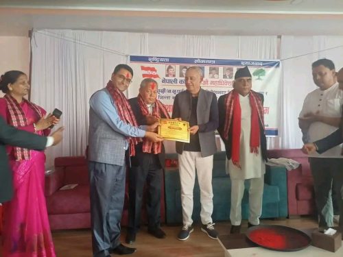 नवलपुर क्षेत्र नं १ बाट संघीय चुनाव लडने कोइरालाको घोषणा