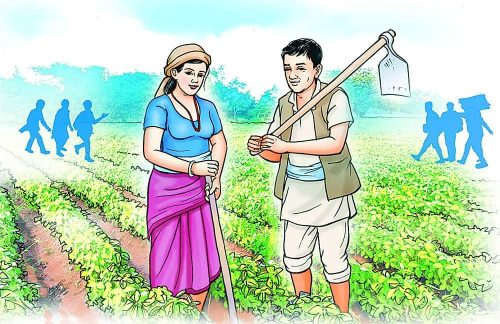 सातौँ कृषि गणना भोलिदेखि : परिणाम आउन ५० दिन लाग्ने