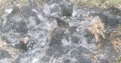 आगो लगाएर दार्चुलामा महिलाको हत्या