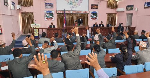 गण्डकीको नीति तथा कार्यक्रम बहुमतले पारित