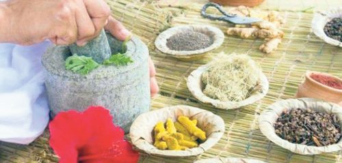 आयुर्वेदिक उपचारमा आकर्षण बढ्दो