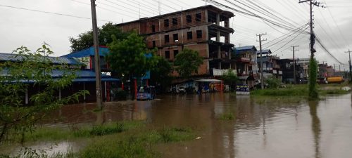 अविरल वर्षाले जलमग्न कावासोती