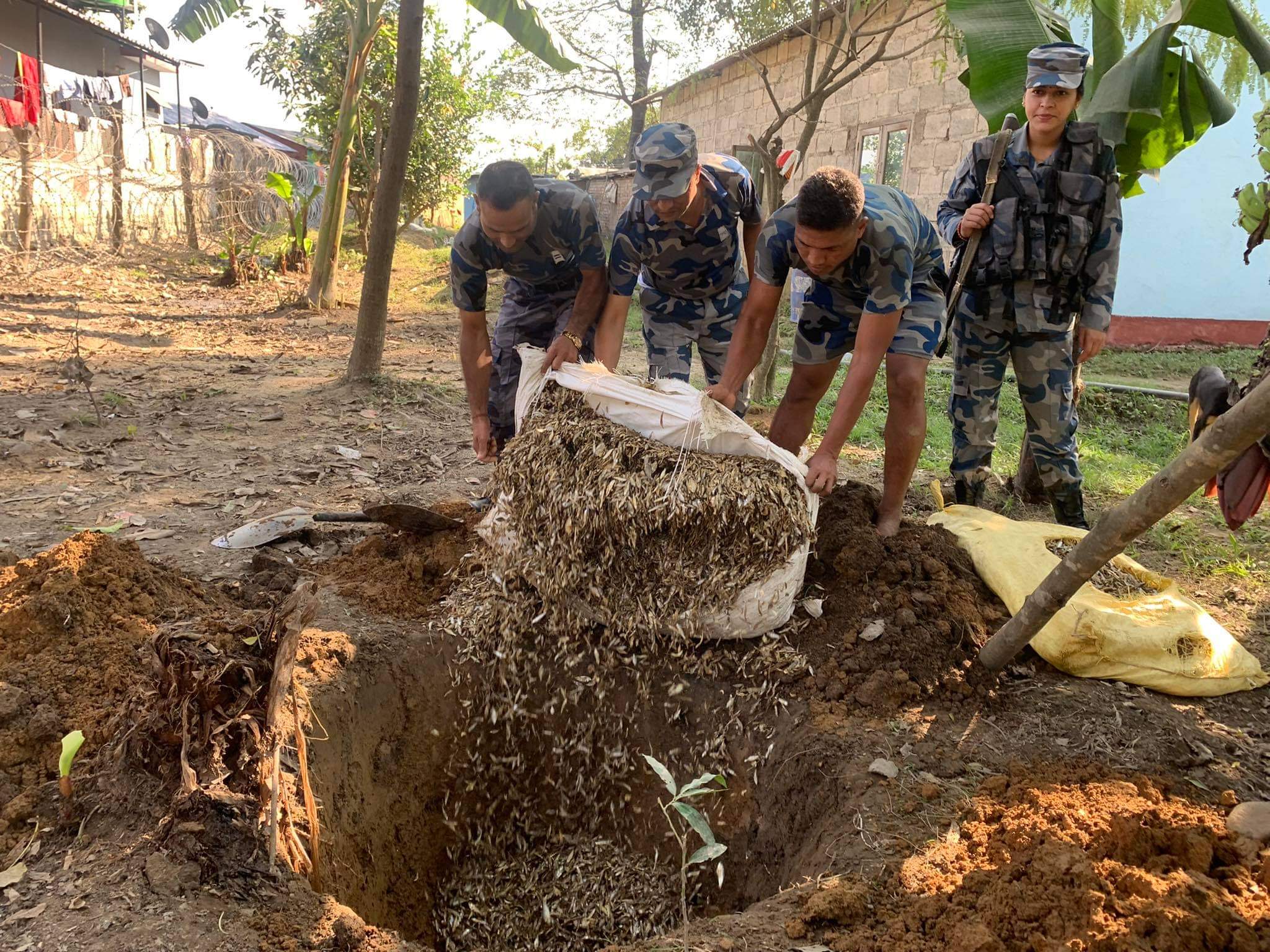 एक क्वीन्टल सिद्रा माछा नष्ट