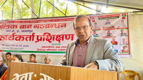 संविधानको रक्षाका लागि गठबन्धन : नेता रिजाल