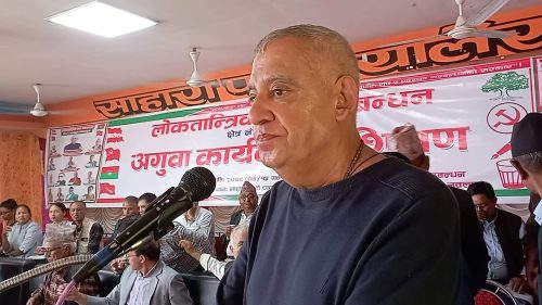 स्थिरताका लागि बहुमत दिनुहोस, हामी विकास दिन्छौ : डा. कोइराला