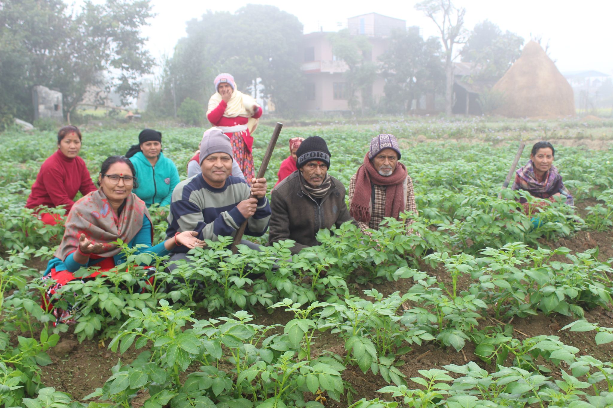 सामुहिक आलुखेतिमा प्रगतिनगरका किसान