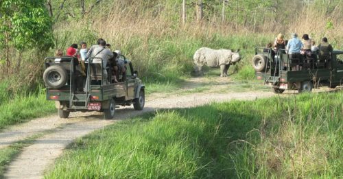 नवलपुरबाट  निकुञ्जमा सफारीको अनुमतिले पर्यटकको सङ्ख्यामा वृद्धि