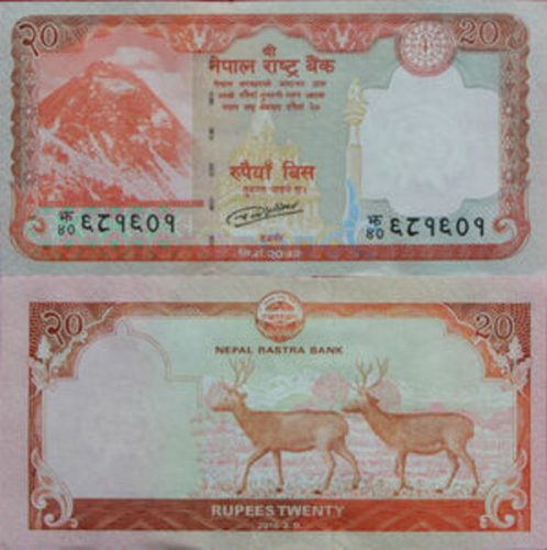 चिनियाँ कम्पनीले ६२ करोडमा पायो ३१ करोड थान नोट छाप्ने ठेक्का