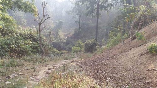 अघि बढन सकेन दुम्किबास त्रिवेणी सडकको वातावरणीय प्रभाव मुल्याङकन