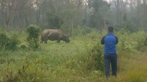 सामुदायिक वनबाट निस्किएको गैँडाले आक्रमण गर्दा दुईजना घाईते