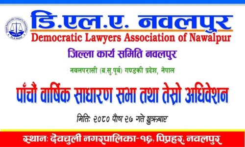 डिएलए नवलपुरमा अधिकारी निर्वाचित