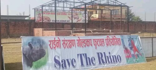 राईनो संरक्षण गोल्डकपमा आज देखि सेमिफाइनलका खेलहरु सुरु हुँदै