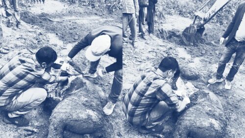 समाचार प्रभाव : गाडिएको बाघलाई खाल्डा बाट निकालेर पोस्टमार्टम गरियो
