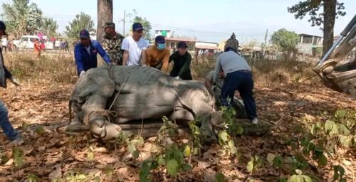 नवलपुरबाट ३ वटा गैडा स्थानान्तरण गरेर निकुञ्जको पुर्वी सेक्टर पुर्‍याईयो