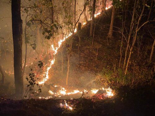 नवलपुरमा २५ सय ५३ हेक्टर वन क्षेत्रमा डढेलो