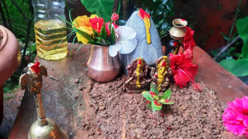 आज हरिशयनी एकादशी, तुलसीका बिरुवा सारिंदै