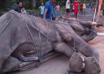 ६७ वर्षको ‘लम्बोदर प्रसाद’ले सडकमै त्याग्यो प्राण