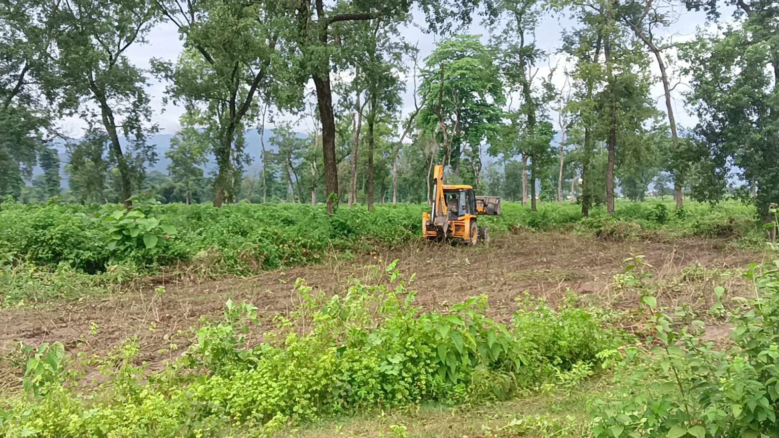 नमूना सदरमुकाम निर्माण स्थलमा रुख काटने बाटो खुल्यो