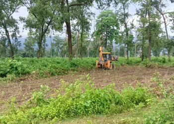 नमूना सदरमुकाम निर्माण स्थलको रुख काटन वनले माग्यो भुमी व्यवस्था मन्त्रालयको सहमति