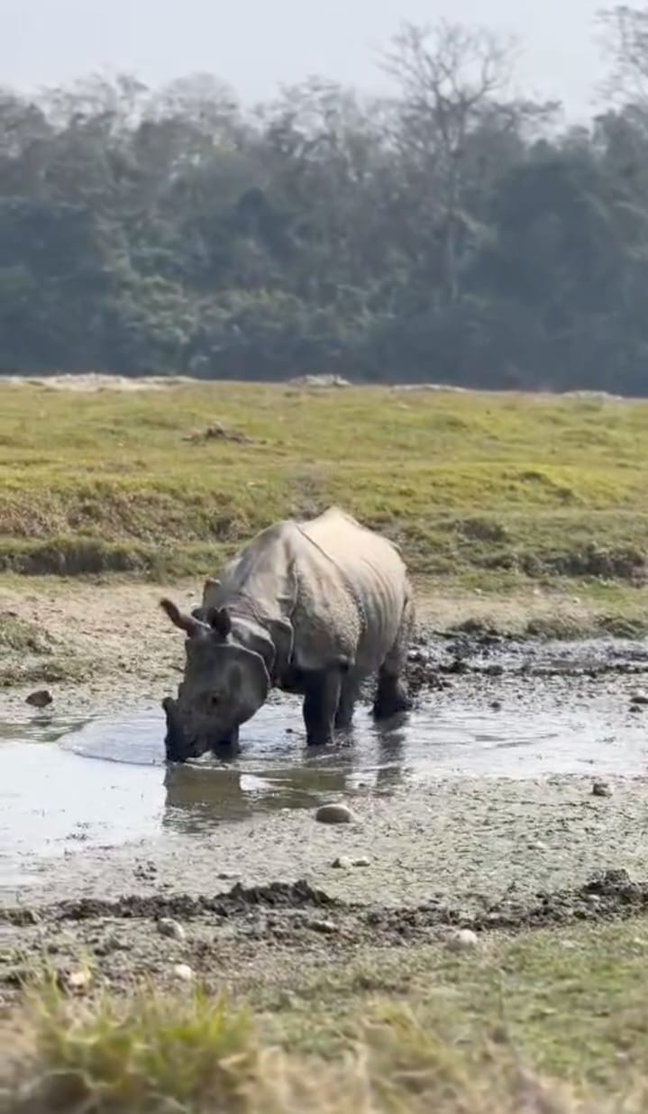 धुलो र दुर्गन्धले स्थानीयलाई सास्ती, लेदो सहितको रसायनले वन्यजन्तु मर्कामा