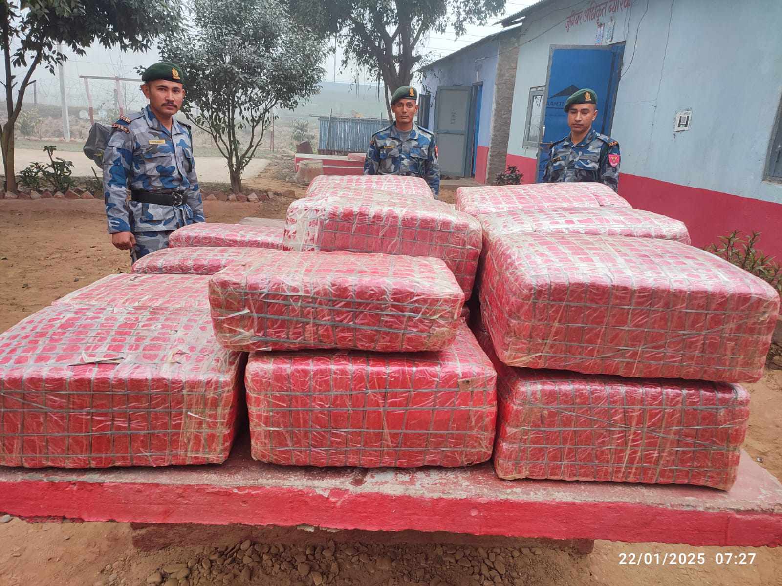 पितौजीमा २ सय ५६ किलो गाँजा सहित भारतिय ट्रक पक्राउ