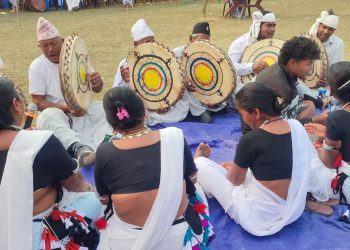 होली(फगुवा) पर्वको अवसरमा कावासोतीमा डाँफु प्रतियोगिता