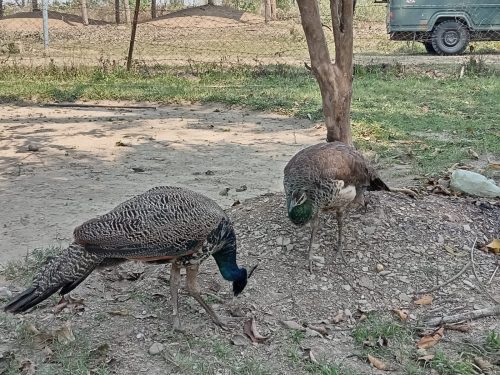 b4e0fe45 525f 4584 a20f f3c96aead497