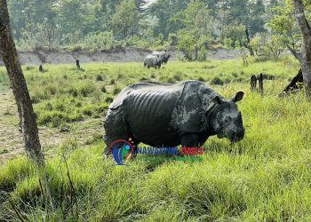 वन्यजन्तु पारखीका लागि उत्कृष्ट गन्तव्य बन्दै शिसवार