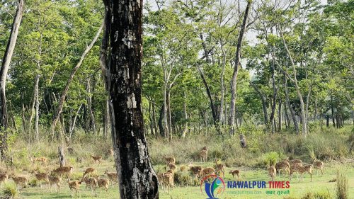 InShot 20250423 180924208