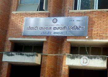 आगामी आर्थिक वर्षको नीति तथा कार्यक्रम : धौवादी फलाम उद्योगलाई निजी साझेदारी मोडलमा सञ्चालन गर्ने घोषणा