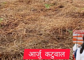 गोलभेंडा खेतीमा छापो व्यवस्थापन