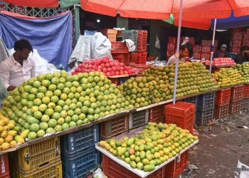 कार्बाइड हालेर पकाएको आँप बजारमा छ्यापछ्याप्ती, सचेत हुन विज्ञको सुझाव