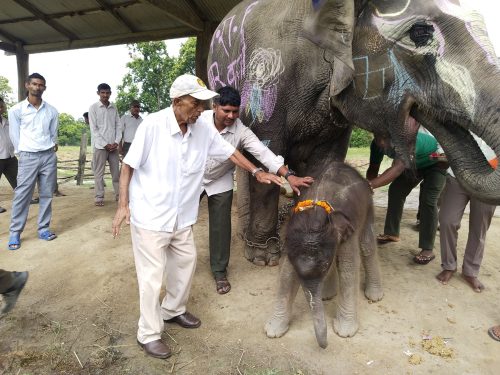 पूर्वसंरक्षण अधिकृत रामप्रित यादवको सम्मानमा छावाको नाम