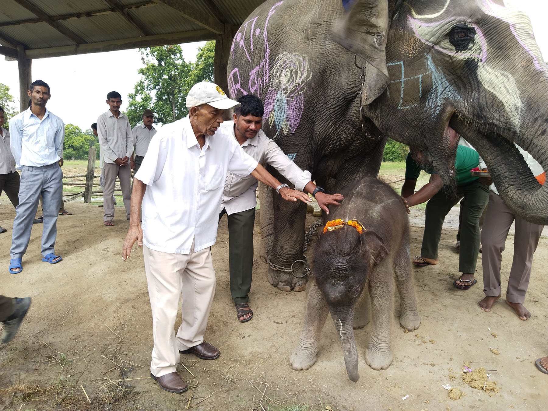 पूर्वसंरक्षण अधिकृत रामप्रित यादवको सम्मानमा छावाको नाम