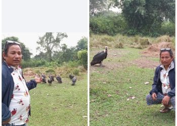 गिद्धका सेफ “यमबहादुर”