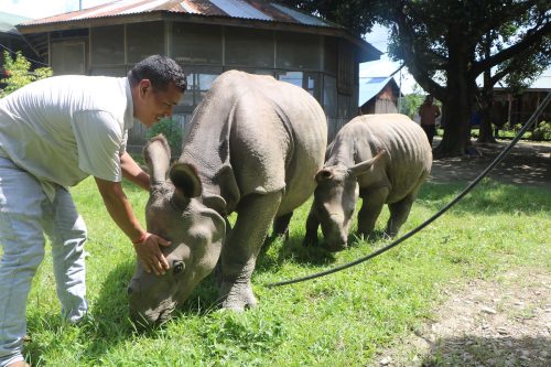 सौराहमा हुर्किंदै छन् ‘राम’ र ‘देव’