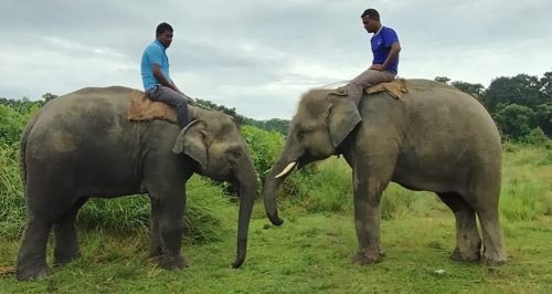 खगेन्द्रप्रसाद र रुद्रकली कतार जाँदै, सबै तयारी पूरा 