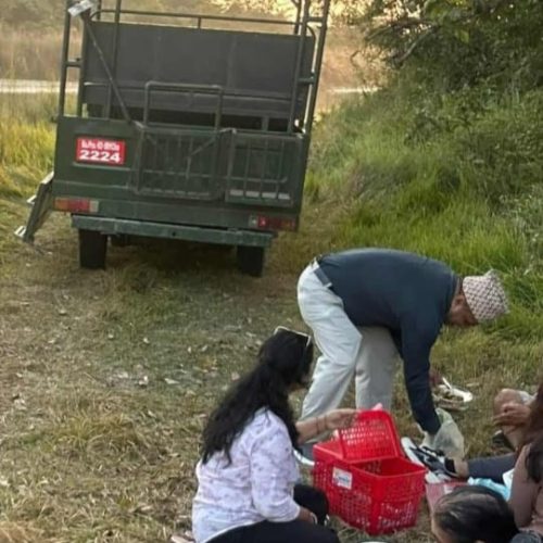 वन भित्र पर्यटक झारेर ड्राई पिकनिक गराउने नेचरगाईडको लाईसेन्स निलम्बन