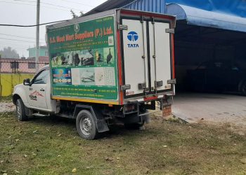 दुम्किबास जंगलबाट १० क्युन्टलभन्दा बढी जंगली बँदेल र दुम्सीको मासु बरामद, चालक फरार