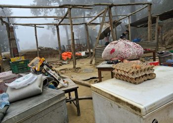 दाउन्ने बजारमा वन क्षेत्र अतिक्रमण गरी बनाइएका ११ टहरा भत्काइए