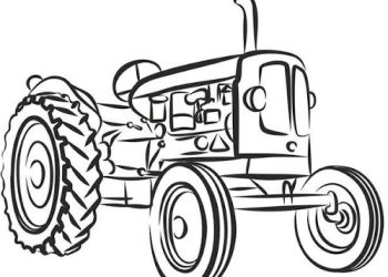 कावासोतीमा ट्याक्टरबाट खसेर घाइते भएका व्यक्तिको मृत्यु